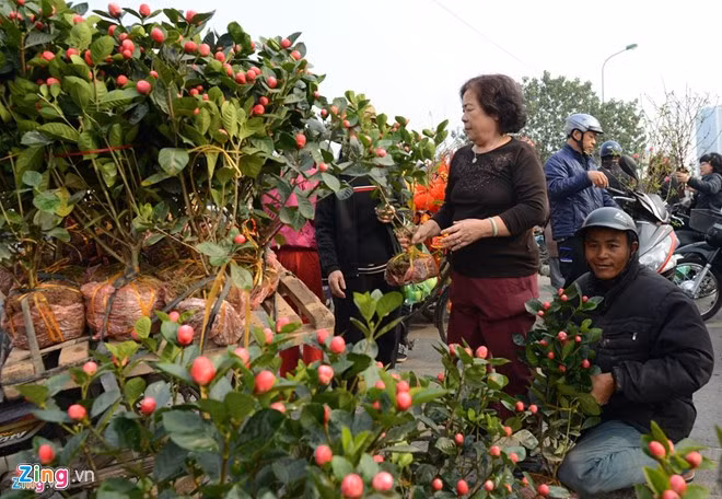An tuong kho phai tet Viet trong long nguoi nuoc ngoai