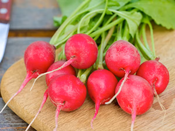 Củ cải đường. Nước ép củ cải đường đóng vai trò như một loại thuốc nhuận tràng tự nhiên, giúp loại bỏ các chất thải qua thận và ruột kết. Cách tốt nhất để chữa trĩ tại nhà là uống nước ép củ cải đường mỗi ngày tại nhà.