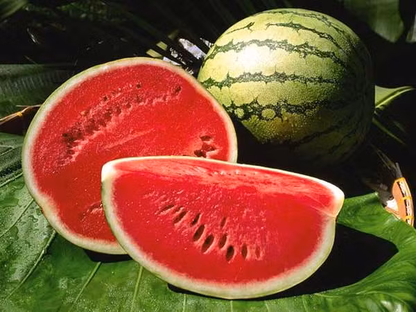 Dưa hấu. Dưa hấu chín có tác dụng giảm các chứng ợ nóng do trào ngược dạ dày. Ăn từ 3-4 miếng dưa hấu mỗi ngày giúp cung cấp nước cho cơ thể, đồng thời giảm các triệu chứng của trào ngược axit hiệu quả.