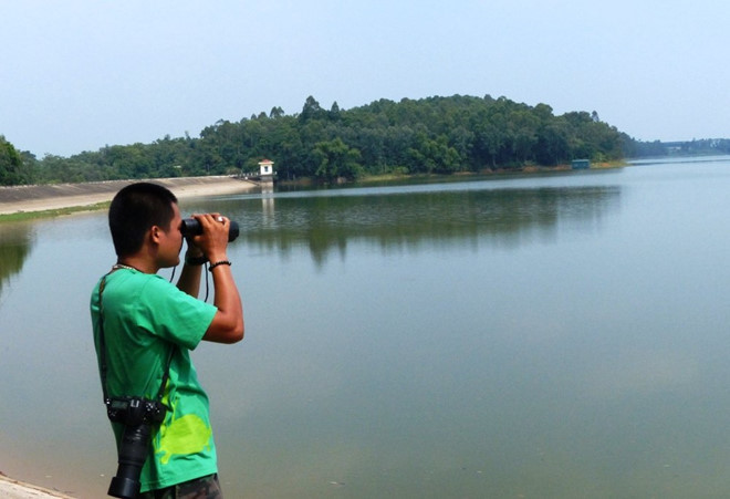 Anh Nguyễn Tài Thắng, cán bộ ATP tiến hành điều tra quan sát tại hồ Xuân Khanh, Việt Nam. Ảnh: Nguyễn Văn Trọng/ATP.