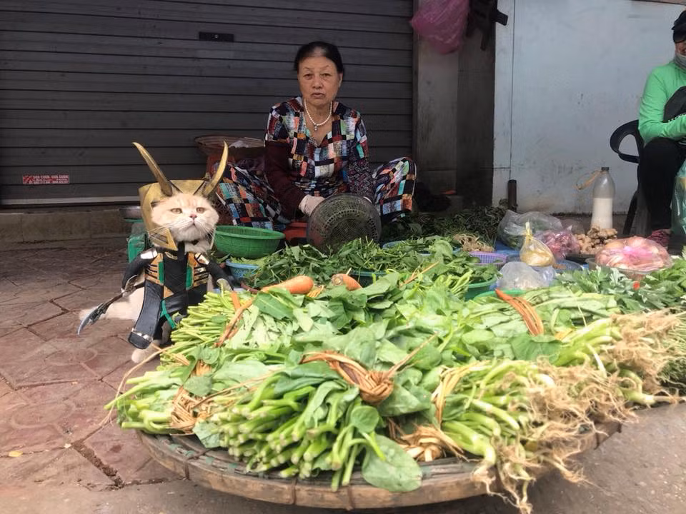Tiếp tục trong vai nhân vật nửa chính nửa tà Loki, Chó khiến mọi người bị mê hoặc bởi thần thái cực ngầu. (Ảnh: Facebook Lê Quốc Phong)