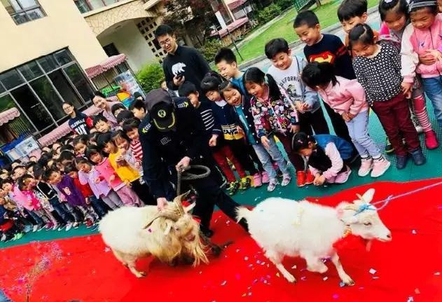 Tan mat dam cuoi cua cap doi de, “hoanh trang” ngay san truong-Hinh-5