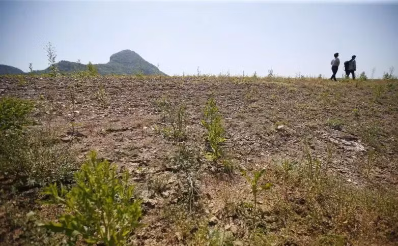 Khi các chuyên gia tới nơi, họ phát hiện mặc dù rất khó để thấy lại dáng vẻ của ngôi làng cổ vài thập kỷ trước, thế nhưng các bức tường, các thềm đá, các di tích cổ có liên kết với mỏ bạc cổ Mông Sơn vẫn hiện hữu.