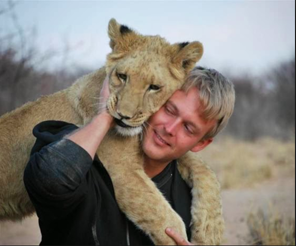 Vì thế, trong lúc nuôi dưỡng Sirga, bộ đôi Hill và Mikke đã gieo trồng những cảm xúc vượt khỏi mọi ranh giới giống loài. Ngược lại, sư tử con cũng vô cùng quấn quít với những người bố nuôi tình cảm.