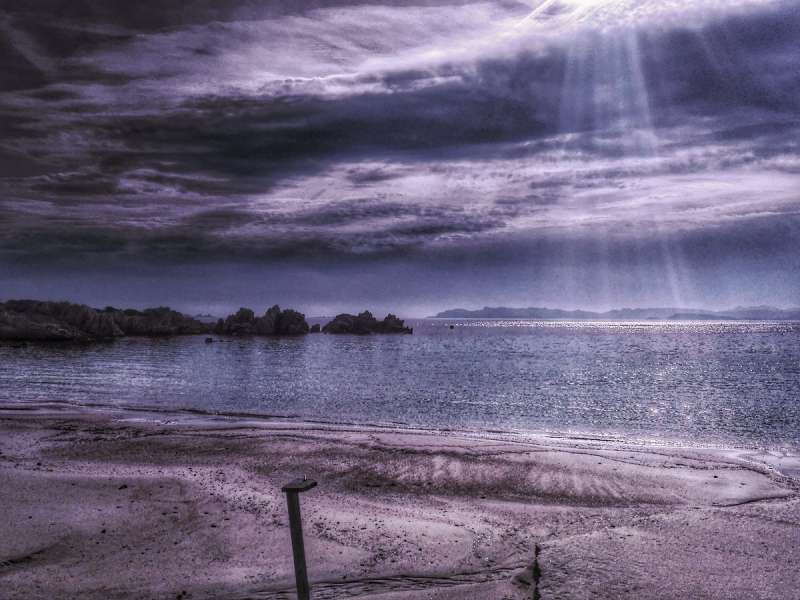 Mauro cho biết, ông rất vui vì mọi người thích thú với những hình ảnh mà ông chụp.