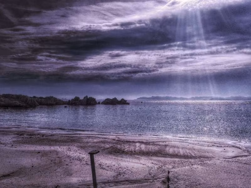 Mauro cho biết, ông rất vui vì mọi người thích thú với những hình ảnh mà ông chụp.