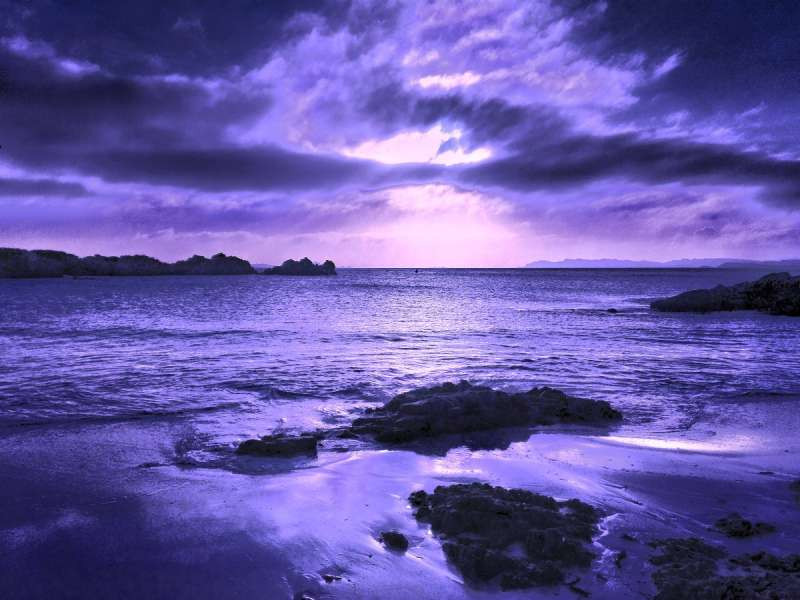 Thông qua ảnh đó, mọi người có thể đánh giá đúng tầm cuộc sống của ông và từ đó biết tôn trọng, bảo vệ thiên nhiên.