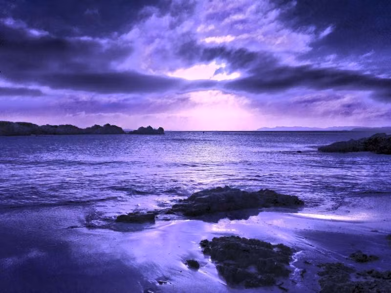 Thông qua ảnh đó, mọi người có thể đánh giá đúng tầm cuộc sống của ông và từ đó biết tôn trọng, bảo vệ thiên nhiên.