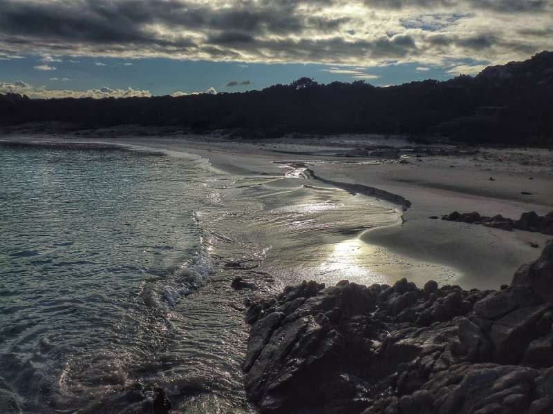 Trùng hợp là lúc đó, người quản lý đảo sẽ nghỉ hưu nên ông đề nghị sẽ tiếp quản công việc của người quản lý.