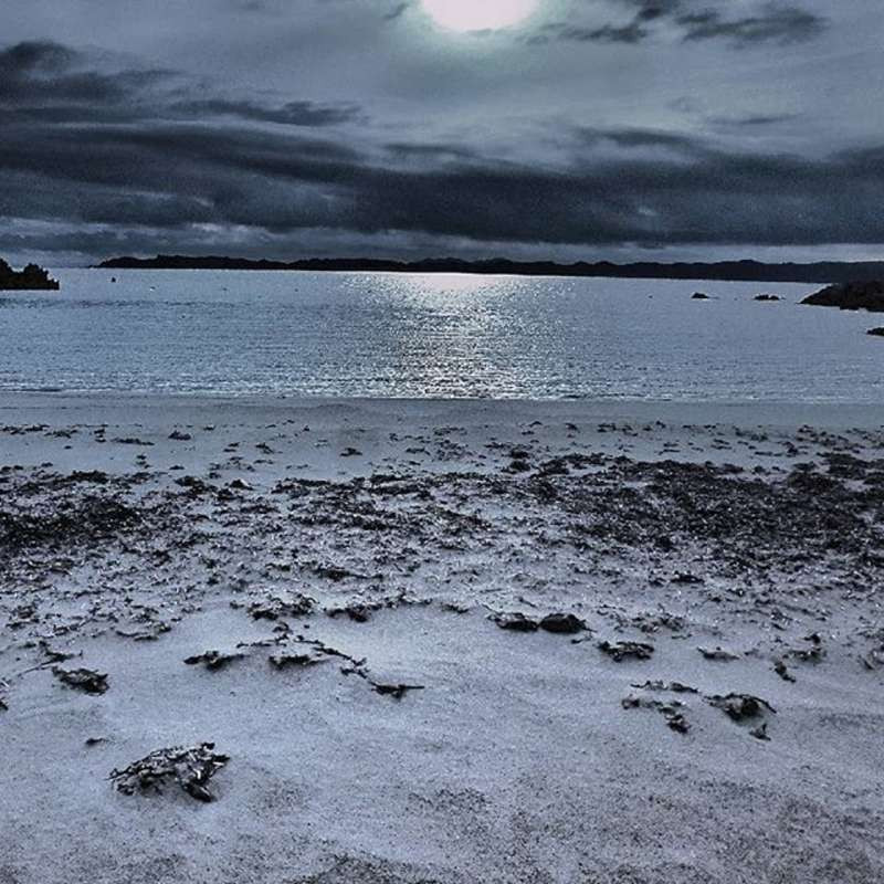 Ban đầu, ông đi cùng một vài người bạn, sử dụng một chiếc thuyền buồm để vượt biển, tìm tới một hòn đảo hoang.