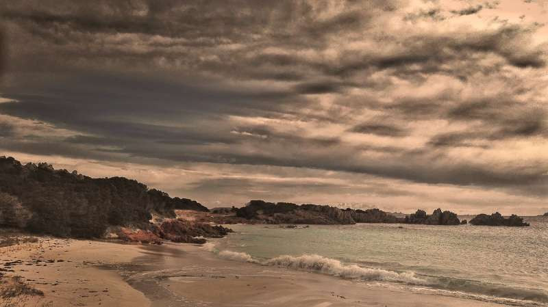 Hơn 18.000 người đã kêu gọi, vận động rất nhiệt tình, để Mauro có thể sinh sống trên hòn đảo.