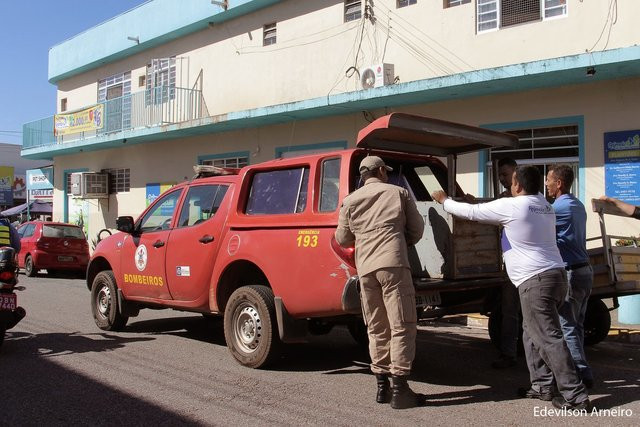 Thế nhưng mới đây, một con Tatu khổng lồ xuất hiện ngạo nghễ trên đường, khiến nhiều người kinh ngạc.
