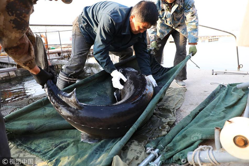 Có những loại cá tầm "ngoại" còn đắt hơn, giá trị một kg trứng cá tầm có giá gần gấp đôi 1 kg vàng.