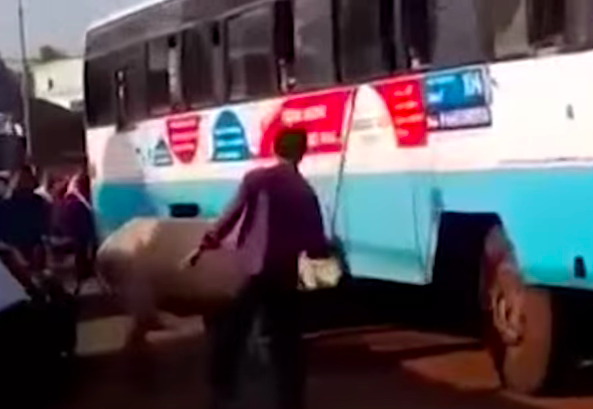 Bo cai suot 4 nam chan dau xe va ly do dau long-Hinh-2