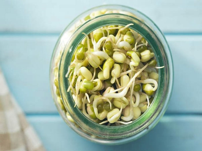 Hạt mầm: Mầm lúa mì và đặc biệt là cỏ linh lăng thường bị hư hỏng và nhiễm khuẩn nếu không được cất trong tủ lạnh. Nếu mầm cây để ở nhiệt độ cao, nó có thể sản sinh ra vi khuẩn gây ngộ độc. Chú ý chọn rau mầm tươi và không ăn chúng sau khi hết hạn.