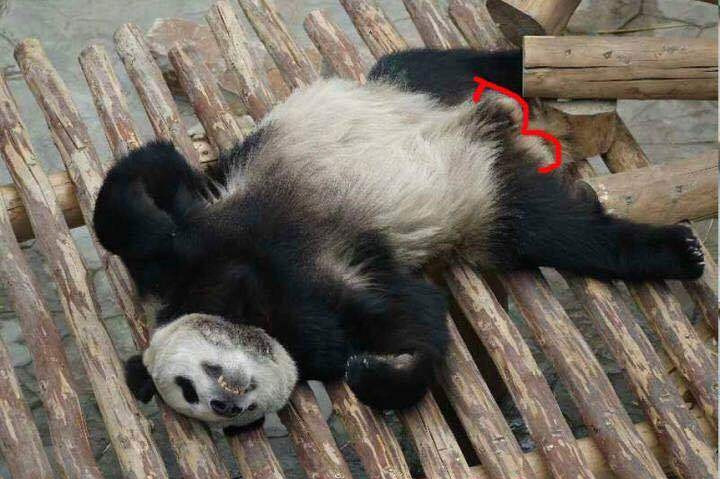 Phổ Phổ hiện tại đã được khôi phục giới tính, được sống là chính mình.