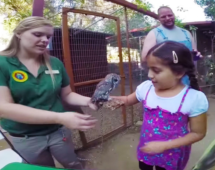 Mặc dù sự mù lòa đã ngăn cản Zeus trở lại môi trường sống quen thuộc thế nhưng hiện, Zeus cũng có cuộc sống hạnh phúc tại ngôi nhà mới của mình. Tất cả mọi người đều hy vọng chú có có cả trời sao trong mắt này có thể sống một cuộc sống an yên, vui vẻ.