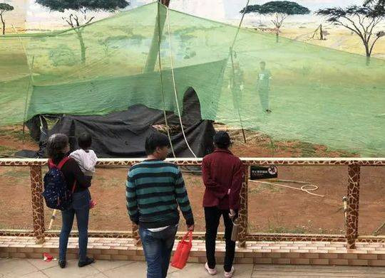 Huou cao co dang thuong chet oan uc chi vi dieu nay-Hinh-4