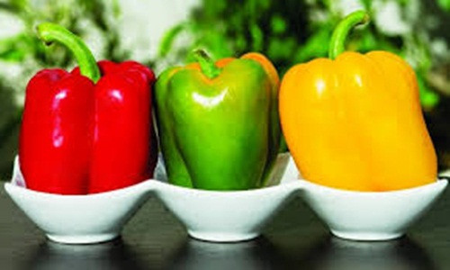 Ớt chuông. Là một loại thực vật có hoa thuộc cây họ bạch, trái ớt nhiều màu rất giàu vitamin C, thậm chí nhiều hơn bất kỳ loại thực phẩm có múi nào.