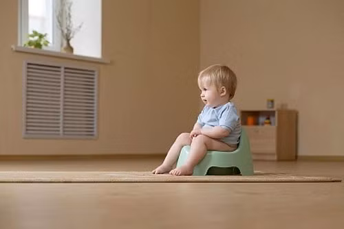 Hà Lan. Trẻ em ở đây được luyện ngồi bô khi khoảng 2-3 tuổi tại nhà trẻ.Trong nhà vệ sinh ở trường, trẻ sẽ tự đánh dấu "thành tích" mỗi lần đi bô lên bảng bằng miếng dán ngộ nghĩnh.