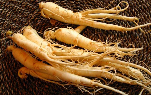 Thảo mộc. Một số thuốc thảo dược rất hiệu quả cho việc duy trì sự cân bằng nội tiết, bao gồm cả nhân sâm và bạch quả. Nhân sâm và bạch quả giúp duy trì sự cân bằng của các loại hormone và kích thích tố trong cơ thể con người .