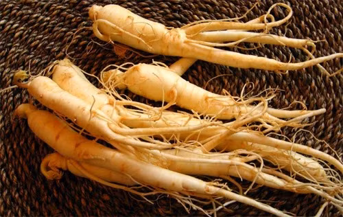 Thảo mộc. Một số thuốc thảo dược rất hiệu quả cho việc duy trì sự cân bằng nội tiết, bao gồm cả nhân sâm và bạch quả. Nhân sâm và bạch quả giúp duy trì sự cân bằng của các loại hormone và kích thích tố trong cơ thể con người .