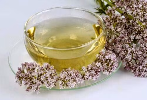 Cây nữ lang Valerian. Tại Mỹ, loài cây này được dùng rộng rãi để chế thuốc an thần chống mất ngủ. Nó là thuốc an thần tuyệt vời không có tác dụng phụ. Nó cũng là loài cây có thể kết hợp vô tư với nhiều loại thảo mộc khác.
