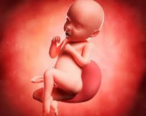 Tất nhiên là bé không ăn trong bụng mẹ nhưng các loại thực phẩm bạn tiêu thụ sẽ được hấp thụ qua nước ối và do đó vô tình cũng định hướng sở thích cho bé.