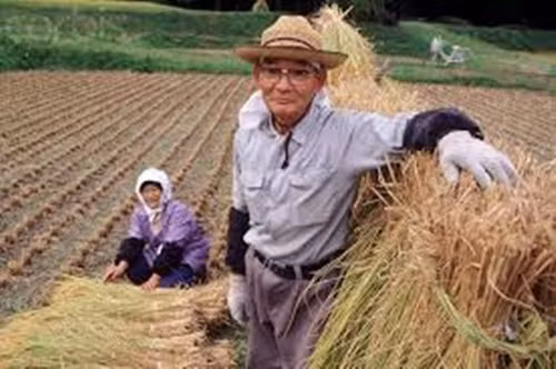 Họ không dành thời gian ngồi nhiều trước màn hình tivi, thậm chí một số còn học cách dùng internet, chọn một sở thích mới như đan len, đi du lịch hoặc làm việc, đi học trở lại. Bởi một bộ não nhàn rỗi có thể dẫn đến các vấn đề sức khỏe hoặc thậm chí là tử vong.