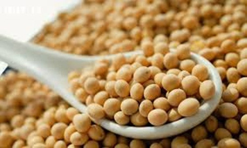 Đối với đậu nành, còn cung cấp một thay thế protein nạc để thịt mỡ, tiêu thụ sữa đậu nành, đậu hũ hoặc edamame – hấp, đậu nành giàu có. Thêm hạt lanh vào sinh tố, sữa chua và ngũ cốc.