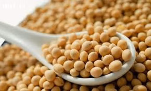 Đối với đậu nành, còn cung cấp một thay thế protein nạc để thịt mỡ, tiêu thụ sữa đậu nành, đậu hũ hoặc edamame – hấp, đậu nành giàu có. Thêm hạt lanh vào sinh tố, sữa chua và ngũ cốc.