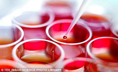 Đây là loại ung thư phổ biến nhất với trẻ em với tỷ lệ 1/2000. Nếu được tiên lượng tốt thì tỷ lệ sống sót có thể lên đến 85% với 3 năm điều trị. Thế nhưng nếu không được chẩn đoán sớm thì bệnh này cũng rất khó chữa.