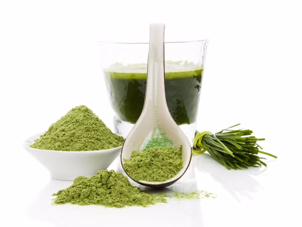 Bột cỏ lúa mì: Với hàm lượng protein cao, bột cỏ lúa mì là thực phẩm giúp tăng cơ hiệu quả. Bên cạnh đó, đây còn là nguồn cung cấp axit folic, i-ốt, vitamin A, K và nhiều chất dinh dưỡng khác. Một muỗng canh bột cỏ lúa mì mỗi ngày sẽ giúp bạn nhanh chóng giảm cân, đẩy nhanh quá trình trao đổi chất và làm săn cơ bắp.