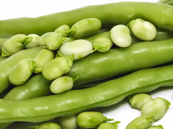 Đậu xanh: Nửa chén đậu xanh chưa chế biến có tới 6g protein. Để giảm cân và có cơ thể săn chắc, bạn chỉ cần ăn một bát nhỏ đậu mỗi ngày. 