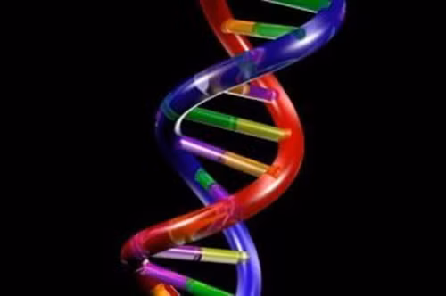 Những nốt này gây ra bởi đột biến gen trong các tế bào của cơ thể và không có phương pháp nào có thể phòng bệnh này.