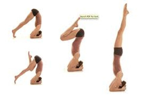 Tư thế headstand được xem là vua của các tư thế bởi các lợi ích đỉnh cao của nó. Thế nhưng các chuyên gia cảnh báo rằng những người ít tập thể dục hoặc người mới bắt đầu không nên thử ngay tư thế này.