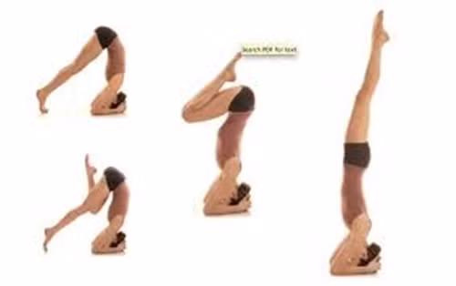 Tư thế headstand được xem là vua của các tư thế bởi các lợi ích đỉnh cao của nó. Thế nhưng các chuyên gia cảnh báo rằng những người ít tập thể dục hoặc người mới bắt đầu không nên thử ngay tư thế này.