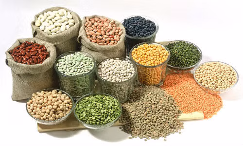 Cach bao quan thuc pham kho trong mua mua bao