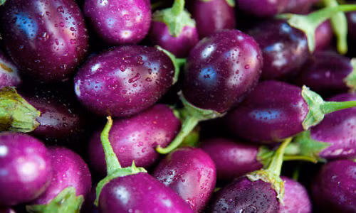 Cach dung ca tim thay cho 10 thang thuoc bo