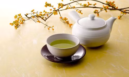 Giam 50% nguy co ung thu noi mac tu cung bang do uong re tien