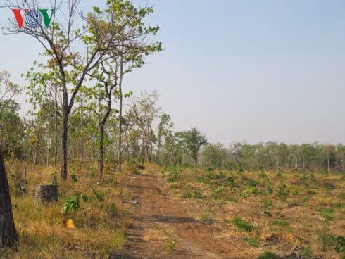 He luy dai dang tu sai pham cua nguyen Chu tich UBND tinh Gia Lai-Hinh-2