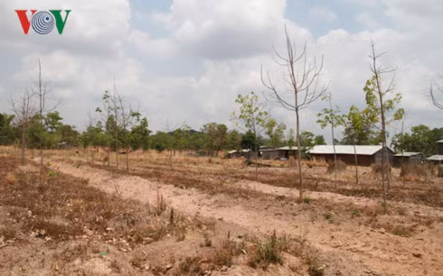 He luy dai dang tu sai pham cua nguyen Chu tich UBND tinh Gia Lai