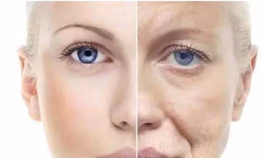 Meo don gian tu do muc do lao hoa cua co the phu nu-Hinh-2