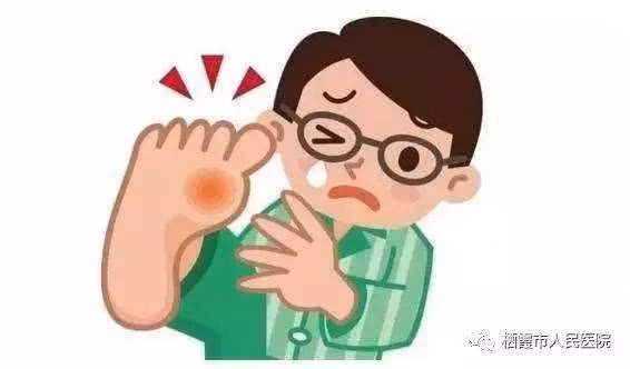 Không ăn uống thực phẩm (rau quả) có vị chua vì làm tăng axít máu, không ăn phủ tạng động vật, nước luộc thịt, nước sườn, cá hộp, thịt hộp, không ăn chế phẩm có cacao, chocolate. Ảnh: Vodjk.