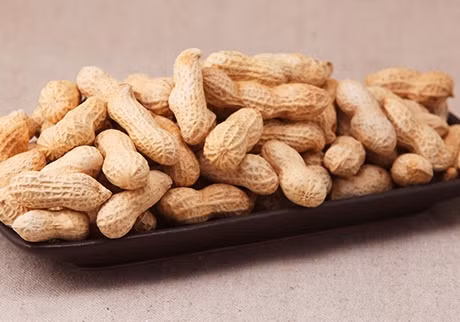 Lạc cũng là thực phẩm chứa hàm lượng chất béo cao, năng lượng cao. Tuy có thể ăn thường xuyên nhưng không nên ăn nhiều một lúc. Nếu phát hiện lạc có dấu hiệu hỏng thì không được ăn dễ bị trúng độc. Ảnh: zhujiage.