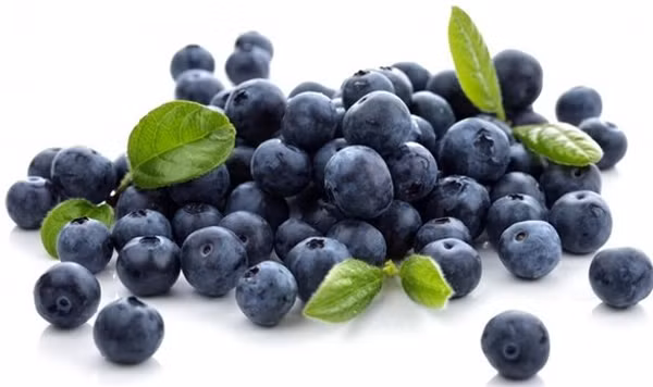 Thao duoc tu nhien giup ngua mau dong, kiem soat huyet ap