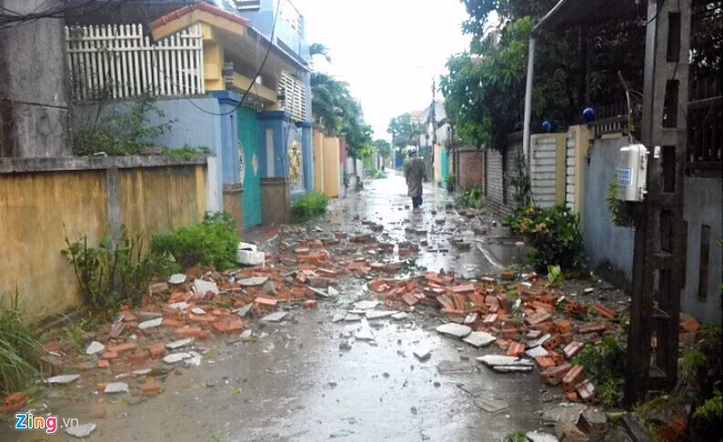 Con bao so 10 vua can quet qua, dich benh theo nhau keo den-Hinh-3