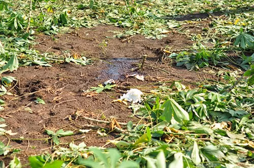 Diem nong 24h: Chu tich xa bi tung anh “nuy” trong nha nghi-Hinh-2