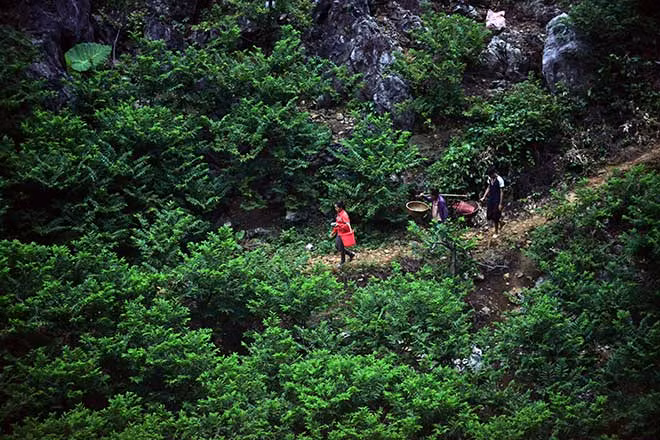 Khiep canh son nu du minh noi vach da hai na-Hinh-2