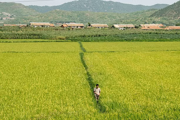 Can canh cuoc song thuong nhat cua nguoi dan o Trieu Tien-Hinh-9